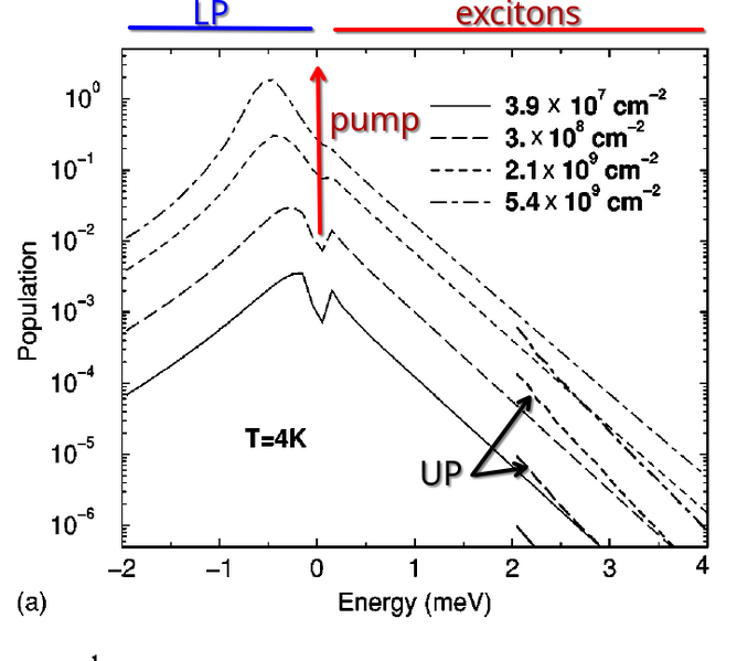 File:Screenshot 20250829 131712.png