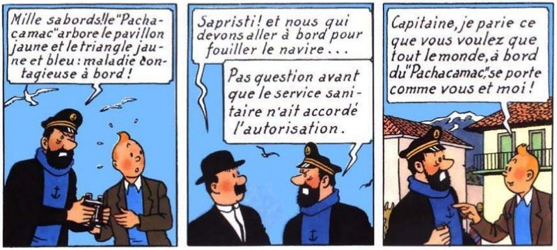 File:Tintin-complotiste.jpg
