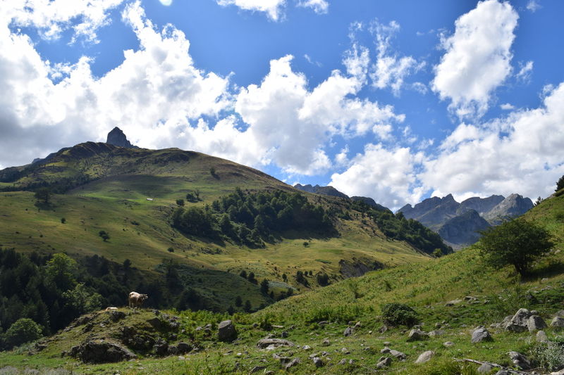 File:Frontier-14Aug-3.jpg