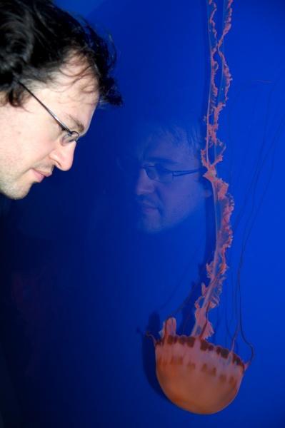 File:Resized 08--Monterey Aquarium--DSC 0096.JPG