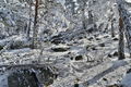 Thumbnail for version as of 19:54, 17 January 2016