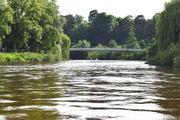The Severn in Shrewsbury in June (2017).