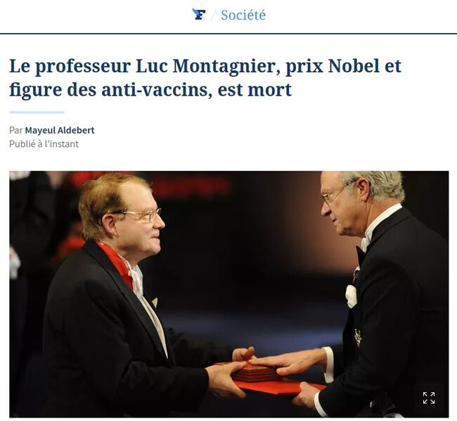 File:Screenshot 20220210 173515.jpg