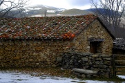 A stone house.