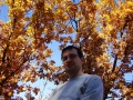 Thumbnail for version as of 12:19, 10 February 2013