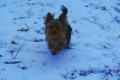Thumbnail for version as of 16:34, 9 February 2013