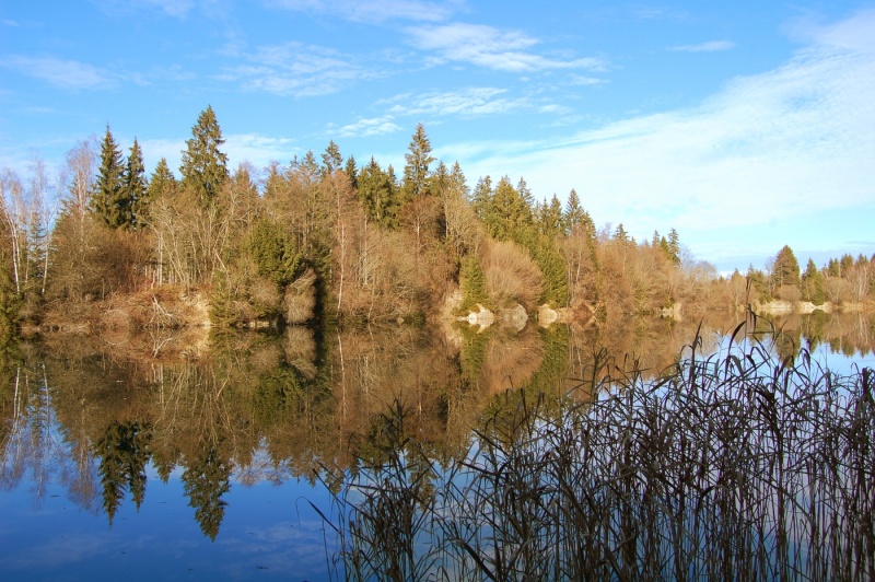 File:Murnauer-moors-20-11-11-14.jpg