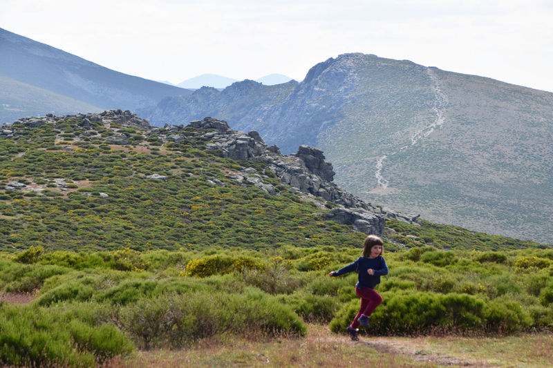 File:Morcuera-13-14June20-40.jpg
