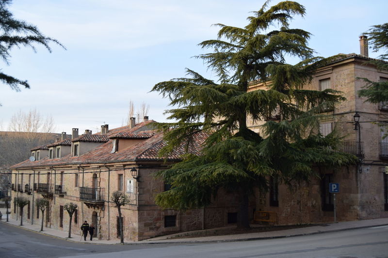File:Siguenza-March2016-15.jpg