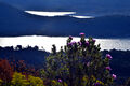 Thumbnail for version as of 20:14, 9 May 2022