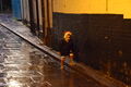 Thumbnail for version as of 13:58, 7 January 2023