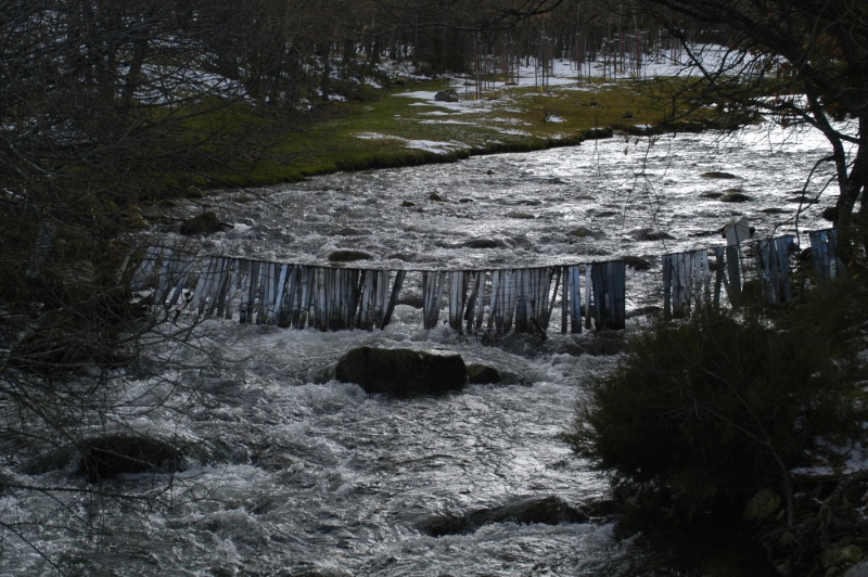 File:Las-Presillas-9feb2013-4.jpg