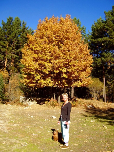 File:Around-Monumento-al-Guarda-Forestal-11Nov07-4.jpg
