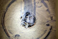 Thumbnail for version as of 22:13, 28 May 2022