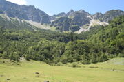 A beautiful gigantic meadow (Pustertal) to break from the more challenging trails.