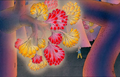 Thumbnail for version as of 12:36, 11 May 2014