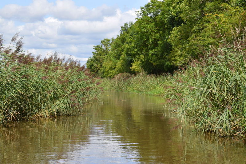 File:Droitwich-canal-Aug17-14.jpg