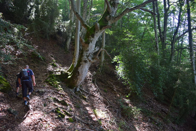 File:GreatExcursion-12Aug-3.jpg