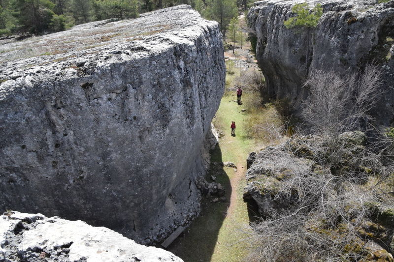 File:Majadas-14Apr19-17.jpg