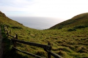 Despite being so close to San Francisco, Point Reyes turned out to be quite authentic.